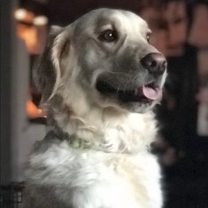 Meet your Posher, Talisa